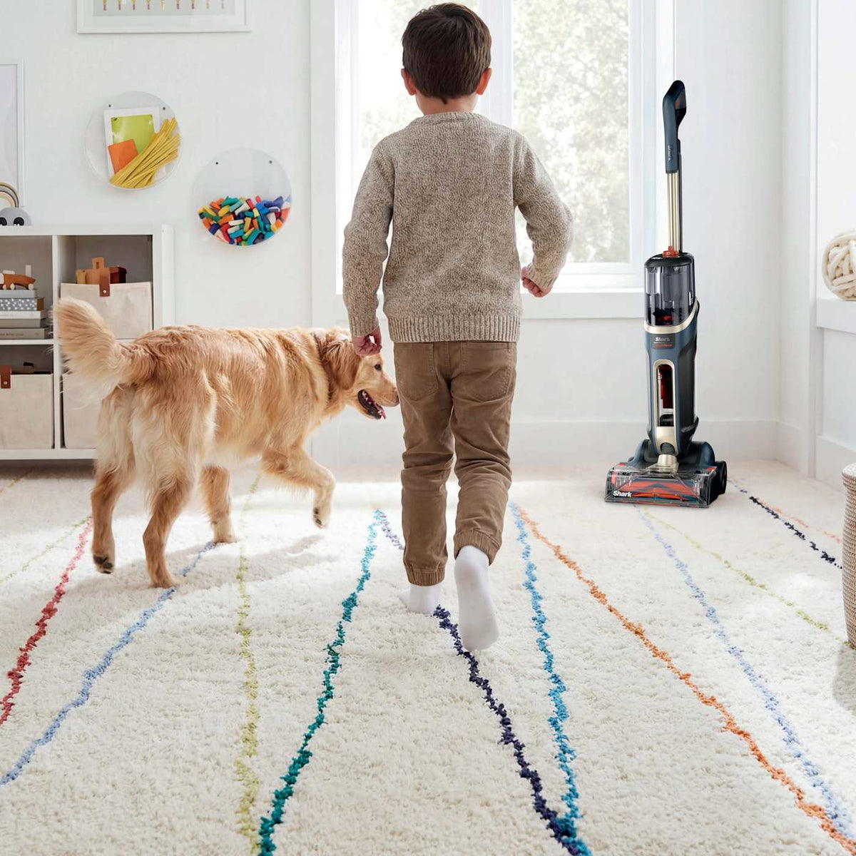 Shark® CarpetForce™ Upright Carpet Cleaner