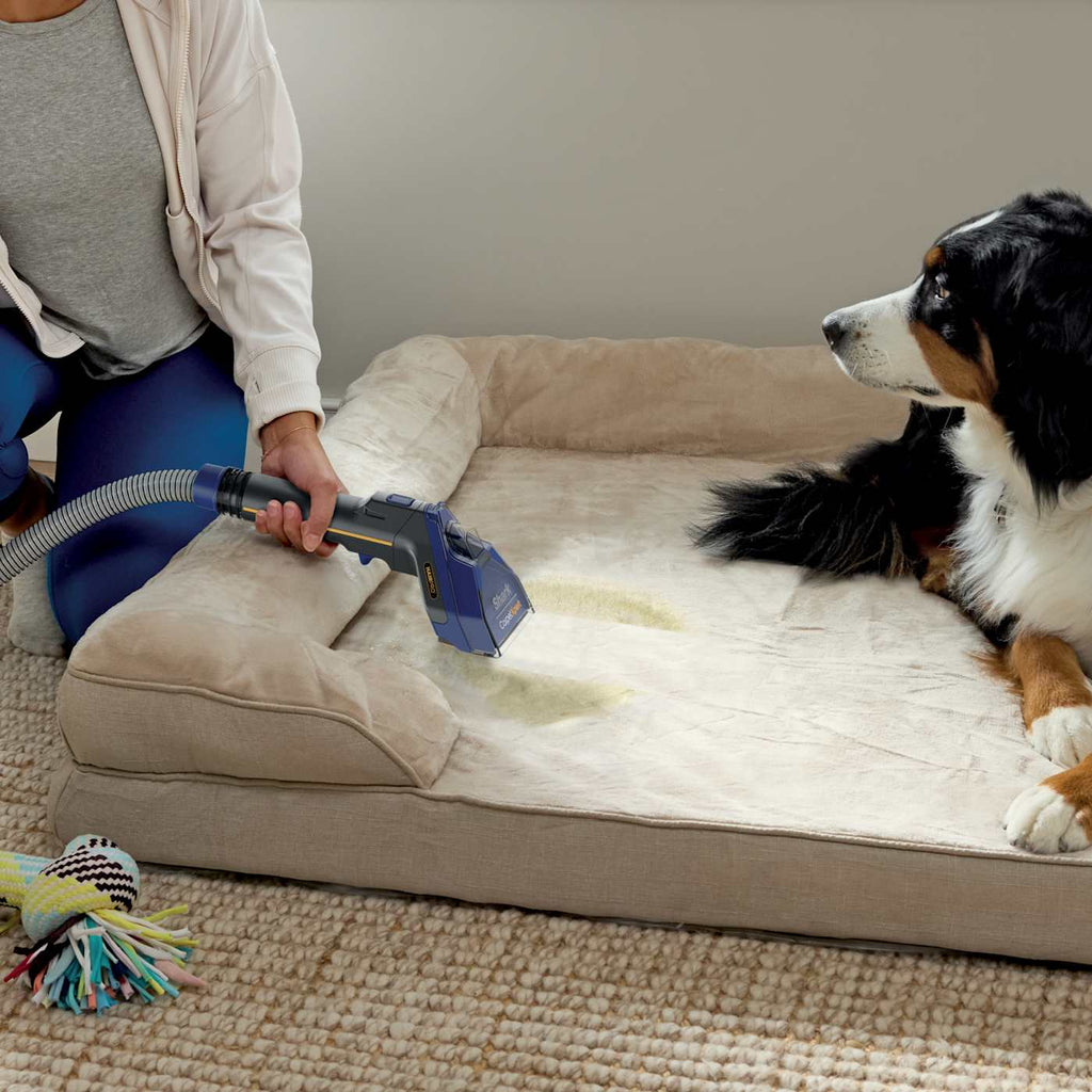 Shark® CarpetXpert™ HairPro® with Spot and Stain Remover